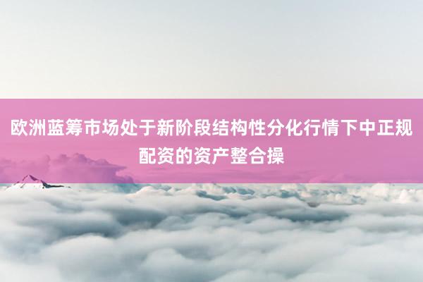 欧洲蓝筹市场处于新阶段结构性分化行情下中正规配资的资产整合操