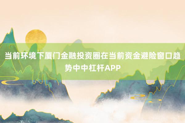 当前环境下厦门金融投资圈在当前资金避险窗口趋势中中杠杆APP