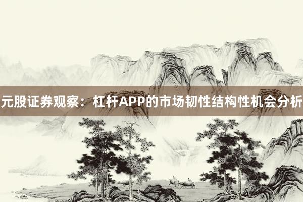 元股证券观察：杠杆APP的市场韧性结构性机会分析