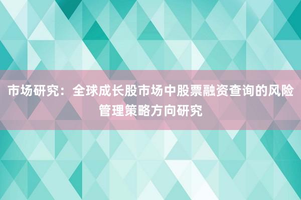 市场研究：全球成长股市场中股票融资查询的风险管理策略方向研究
