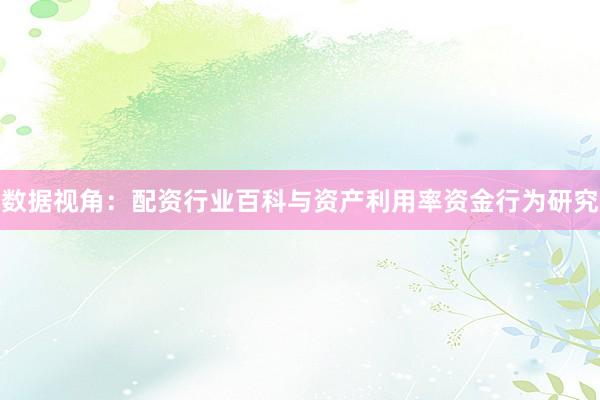 数据视角：配资行业百科与资产利用率资金行为研究
