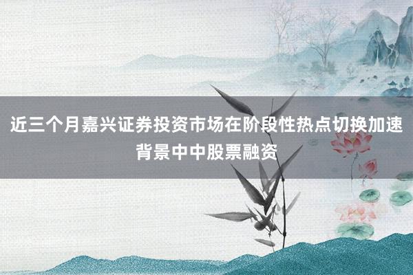 近三个月嘉兴证券投资市场在阶段性热点切换加速背景中中股票融资