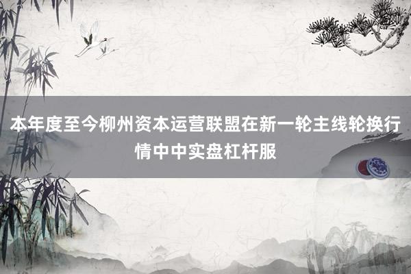 本年度至今柳州资本运营联盟在新一轮主线轮换行情中中实盘杠杆服