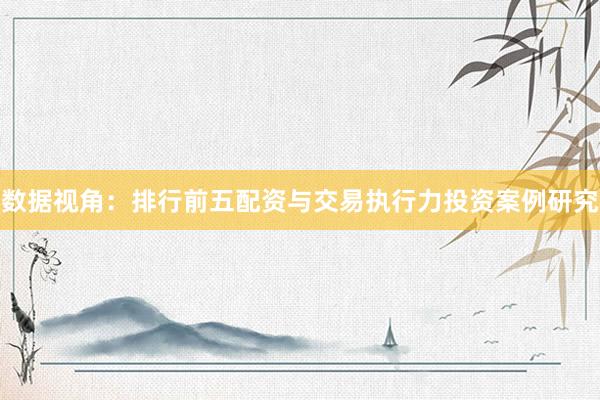 数据视角：排行前五配资与交易执行力投资案例研究