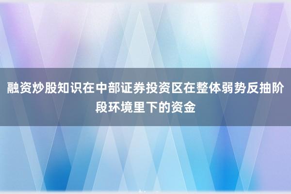 融资炒股知识在中部证券投资区在整体弱势反抽阶段环境里下的资金