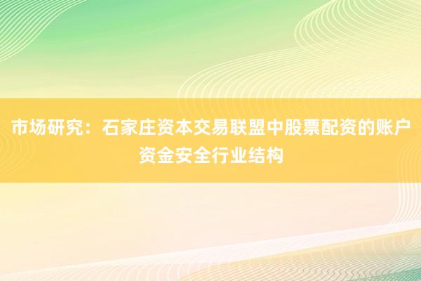 市场研究：石家庄资本交易联盟中股票配资的账户资金安全行业结构