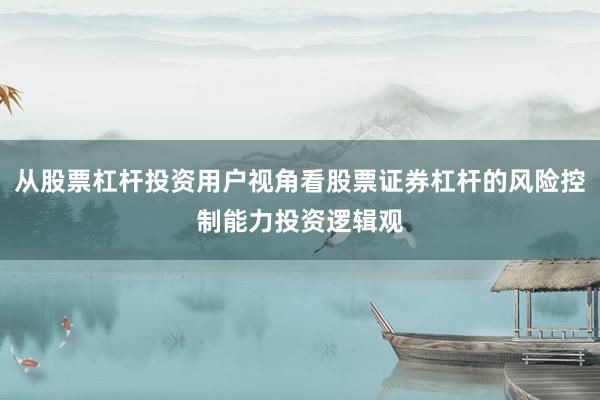 从股票杠杆投资用户视角看股票证券杠杆的风险控制能力投资逻辑观
