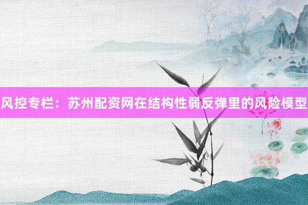 风控专栏：苏州配资网在结构性弱反弹里的风险模型