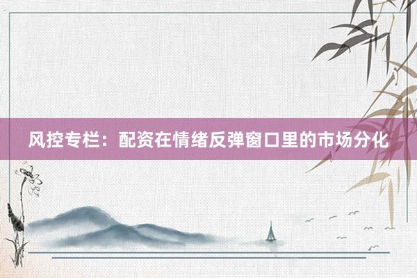 风控专栏：配资在情绪反弹窗口里的市场分化