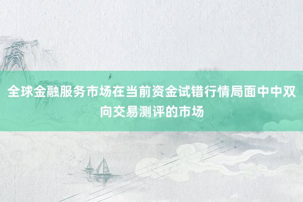 全球金融服务市场在当前资金试错行情局面中中双向交易测评的市场
