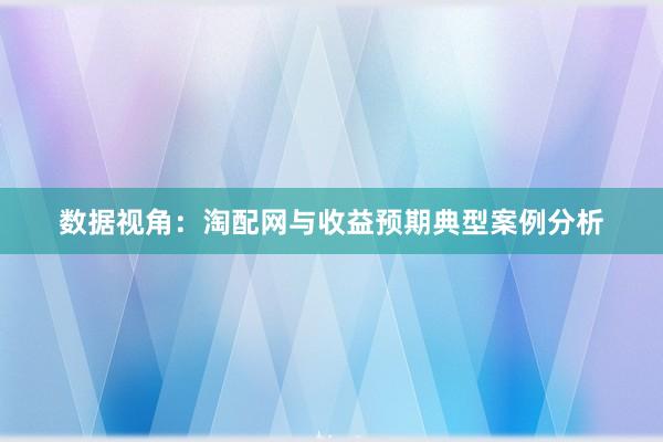 数据视角：淘配网与收益预期典型案例分析