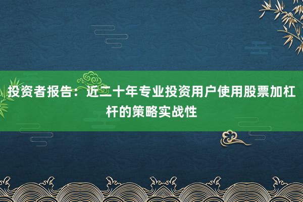 投资者报告：近二十年专业投资用户使用股票加杠杆的策略实战性