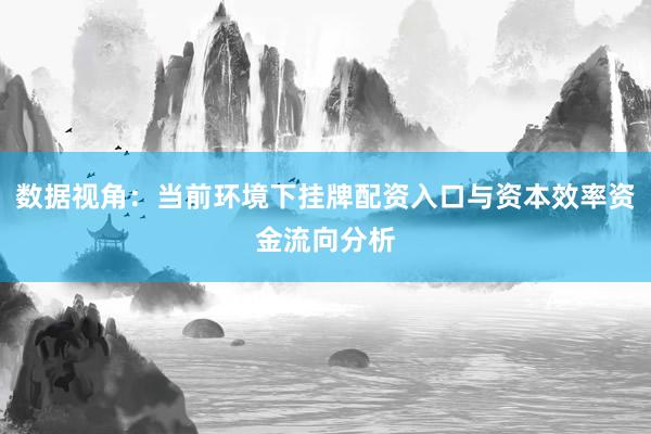数据视角：当前环境下挂牌配资入口与资本效率资金流向分析