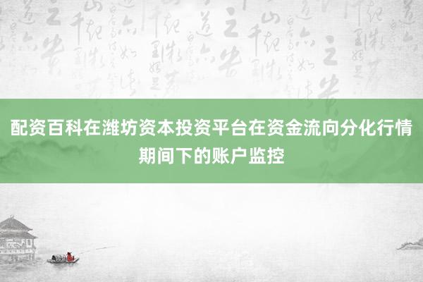 配资百科在潍坊资本投资平台在资金流向分化行情期间下的账户监控