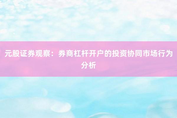 元股证券观察：券商杠杆开户的投资协同市场行为分析