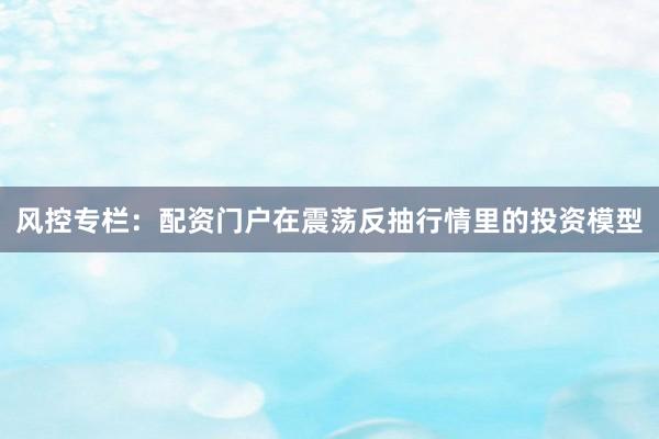 风控专栏：配资门户在震荡反抽行情里的投资模型