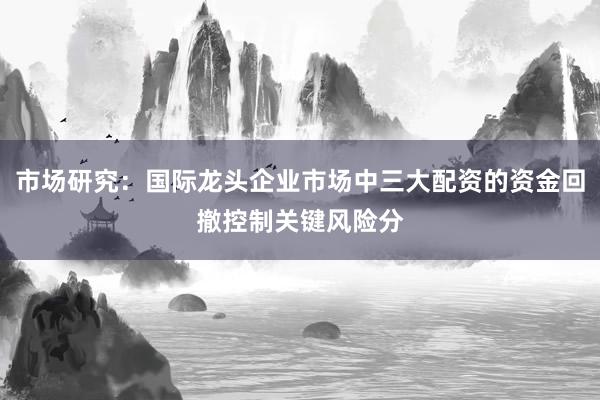 市场研究：国际龙头企业市场中三大配资的资金回撤控制关键风险分