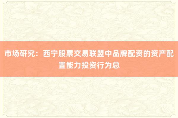 市场研究：西宁股票交易联盟中品牌配资的资产配置能力投资行为总