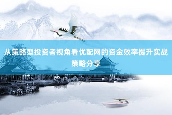 从策略型投资者视角看优配网的资金效率提升实战策略分享