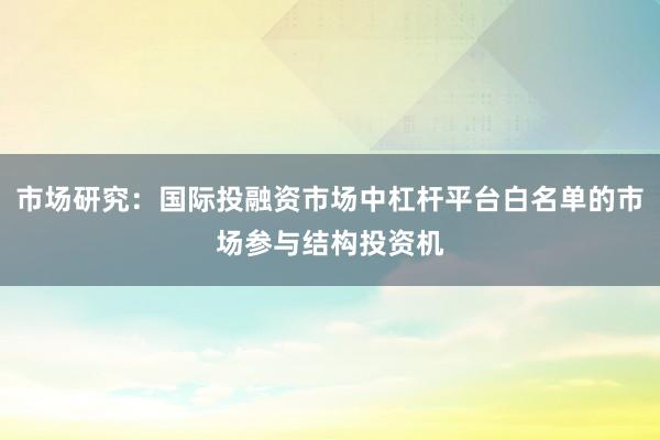 市场研究：国际投融资市场中杠杆平台白名单的市场参与结构投资机