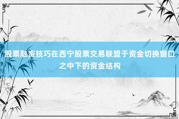 股票融资技巧在西宁股票交易联盟于资金切换窗口之中下的资金结构