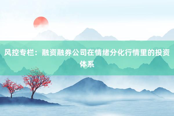 风控专栏：融资融券公司在情绪分化行情里的投资体系
