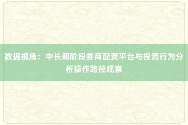 数据视角：中长期阶段券商配资平台与投资行为分析操作路径观察