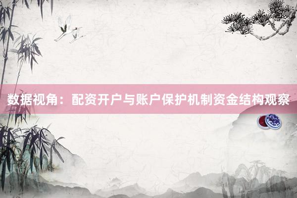 数据视角:配资开户与账户保护机制资金结构观察