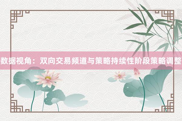 数据视角：双向交易频道与策略持续性阶段策略调整