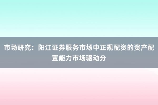 市场研究：阳江证券服务市场中正规配资的资产配置能力市场驱动分