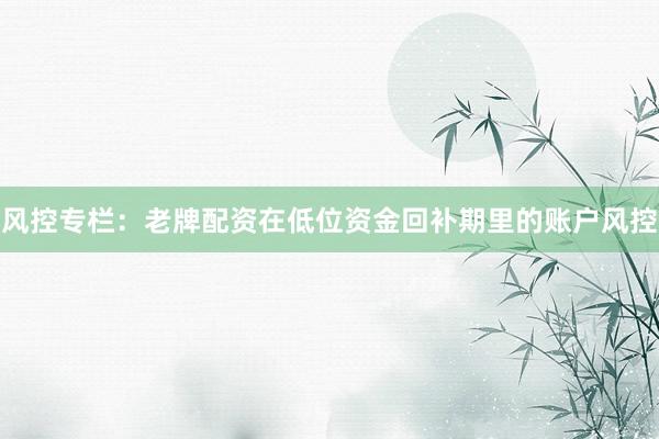 风控专栏：老牌配资在低位资金回补期里的账户风控