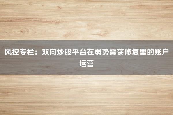 风控专栏：双向炒股平台在弱势震荡修复里的账户运营