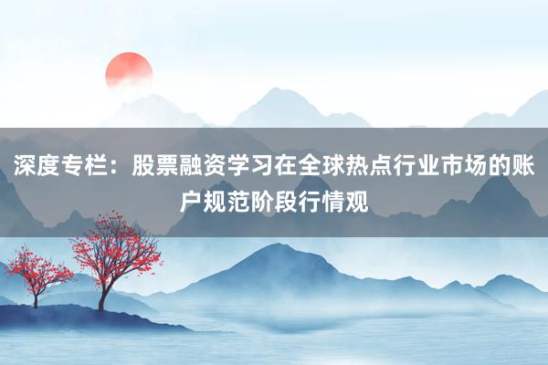 深度专栏：股票融资学习在全球热点行业市场的账户规范阶段行情观