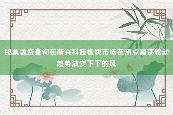 股票融资查询在新兴科技板块市场在热点震荡轮动趋势演变下下的风