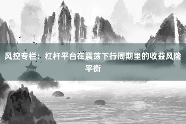 风控专栏：杠杆平台在震荡下行周期里的收益风险平衡