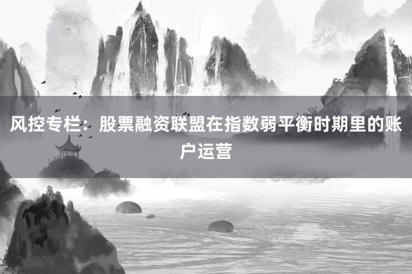 风控专栏：股票融资联盟在指数弱平衡时期里的账户运营