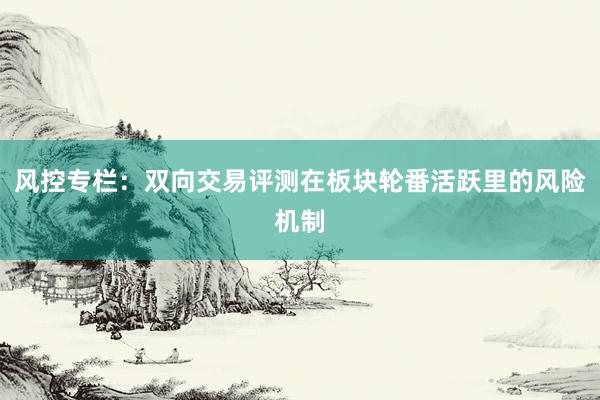 风控专栏：双向交易评测在板块轮番活跃里的风险机制