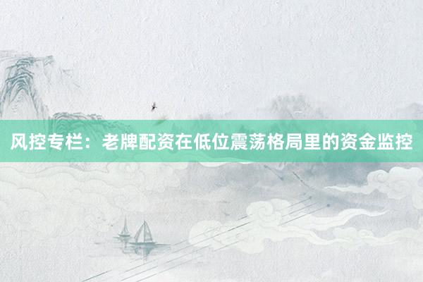 风控专栏：老牌配资在低位震荡格局里的资金监控