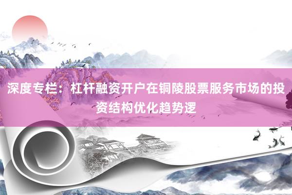深度专栏：杠杆融资开户在铜陵股票服务市场的投资结构优化趋势逻