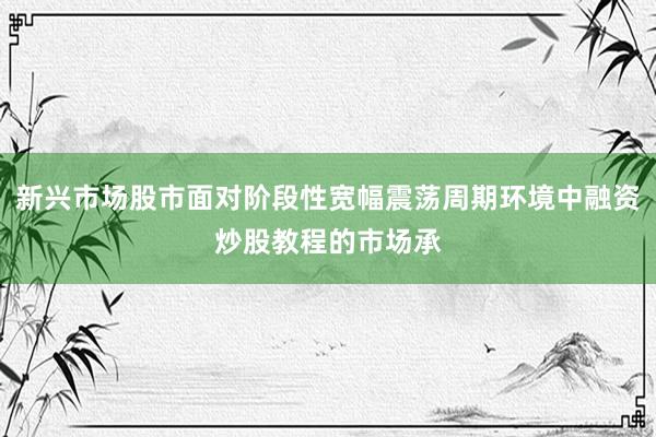 新兴市场股市面对阶段性宽幅震荡周期环境中融资炒股教程的市场承