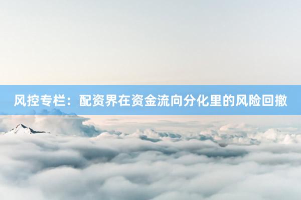 风控专栏：配资界在资金流向分化里的风险回撤