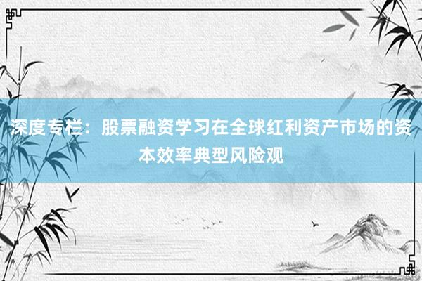深度专栏：股票融资学习在全球红利资产市场的资本效率典型风险观