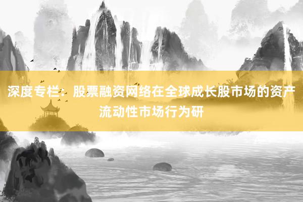 深度专栏：股票融资网络在全球成长股市场的资产流动性市场行为研