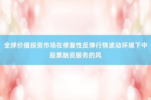 全球价值投资市场在修复性反弹行情波动环境下中股票融资服务的风
