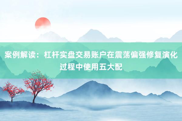 案例解读：杠杆实盘交易账户在震荡偏强修复演化过程中使用五大配