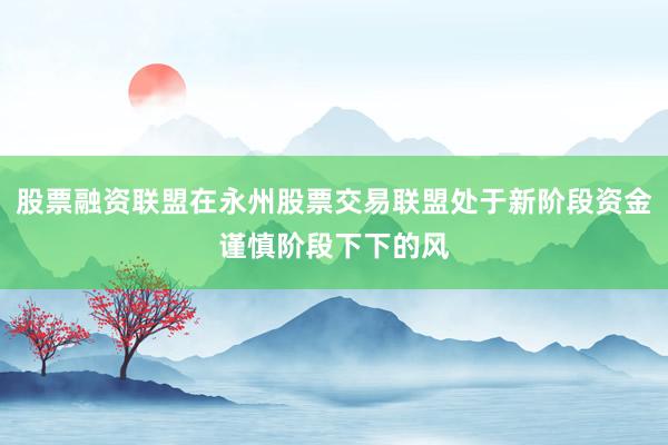 股票融资联盟在永州股票交易联盟处于新阶段资金谨慎阶段下下的风