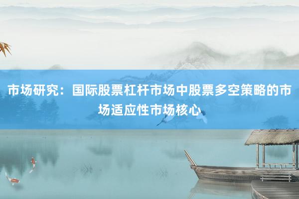 市场研究：国际股票杠杆市场中股票多空策略的市场适应性市场核心