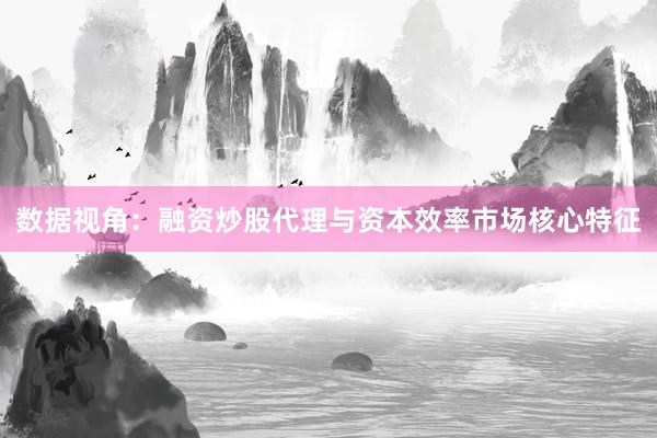 数据视角：融资炒股代理与资本效率市场核心特征