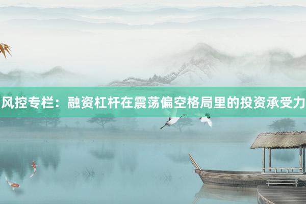 风控专栏：融资杠杆在震荡偏空格局里的投资承受力