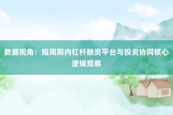 数据视角：短周期内杠杆融资平台与投资协同核心逻辑观察